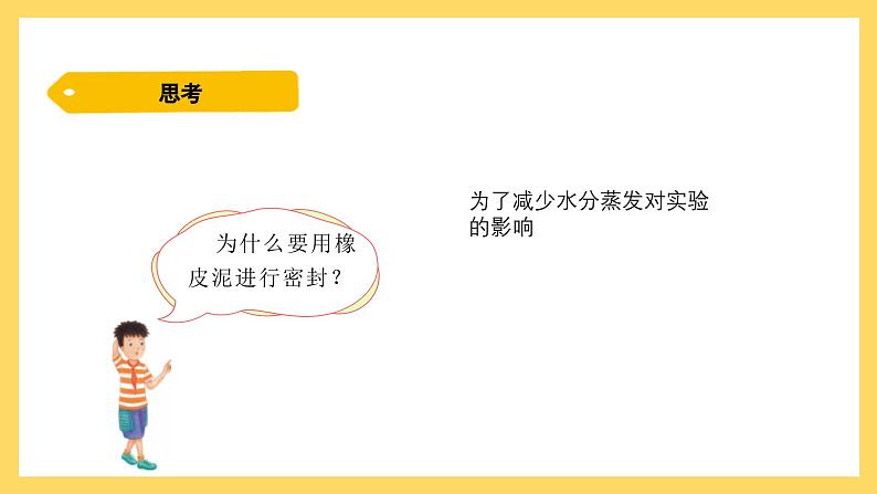 1.2 根对水分的吸收（课件）-2024-2025学年五年级上册科学粤教粤科版第6页