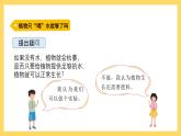 1.3 根还吸收了什么（课件）-2024-2025学年五年级上册科学粤教粤科版
