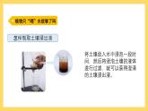 1.3 根还吸收了什么（课件）-2024-2025学年五年级上册科学粤教粤科版