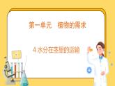 1.4 水分在茎里的运输（课件）-2024-2025学年五年级上册科学粤教粤科版