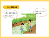 1.4 水分在茎里的运输（课件）-2024-2025学年五年级上册科学粤教粤科版