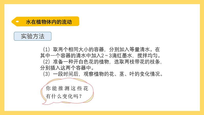 1.4 水分在茎里的运输（课件）-2024-2025学年五年级上册科学粤教粤科版04