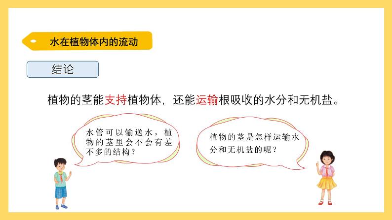 1.4 水分在茎里的运输（课件）-2024-2025学年五年级上册科学粤教粤科版06