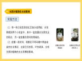 1.6 植物需要阳光（课件）-2024-2025学年五年级上册科学粤教粤科版