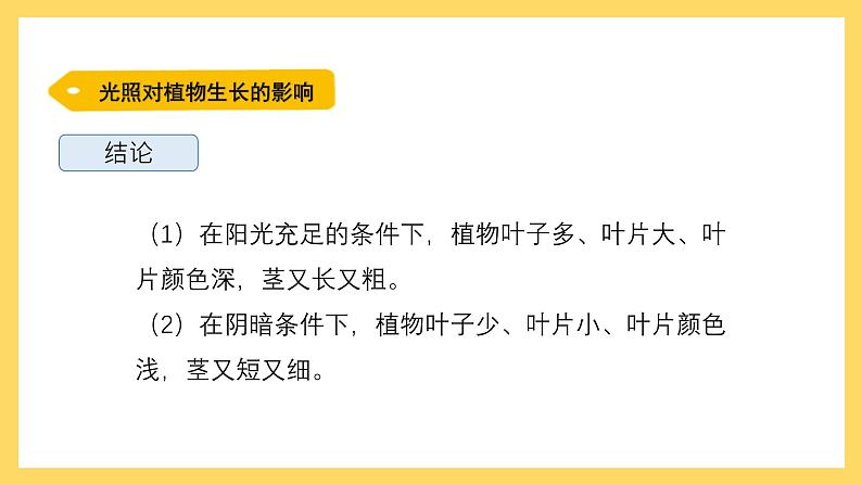 1.6 植物需要阳光（课件）-2024-2025学年五年级上册科学粤教粤科版第6页