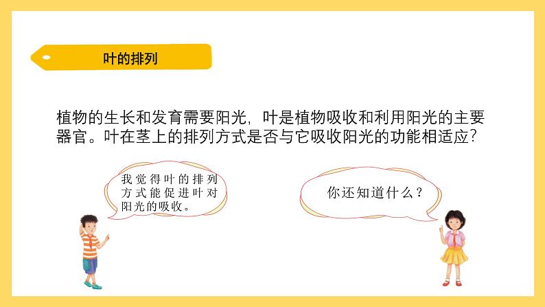 1.6 植物需要阳光（课件）-2024-2025学年五年级上册科学粤教粤科版第8页