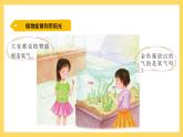 1.7 植物能够利用阳光（课件）-2024-2025学年五年级上册科学粤教粤科版