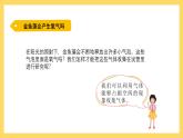 1.7 植物能够利用阳光（课件）-2024-2025学年五年级上册科学粤教粤科版
