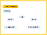 1.7 植物能够利用阳光（课件）-2024-2025学年五年级上册科学粤教粤科版