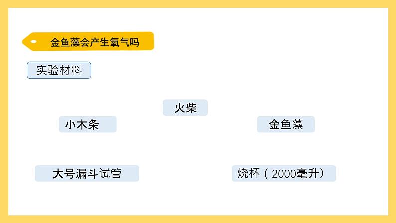 1.7 植物能够利用阳光（课件）-2024-2025学年五年级上册科学粤教粤科版第4页