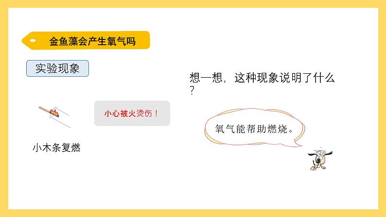 1.7 植物能够利用阳光（课件）-2024-2025学年五年级上册科学粤教粤科版第6页