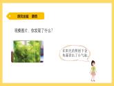第一單元 植物的需求 探究技能 猜想（課件）-2024-2025學(xué)年五年級(jí)上冊科學(xué)粵教粵科版