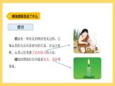 3.12 蜡烛的燃烧（课件）-2024-2025学年五年级上册科学粤教粤科版