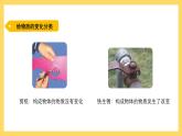 3.16 各种各样的物质变化（课件）-2024-2025学年五年级上册科学粤教粤科版