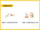 3.16 各种各样的物质变化（课件）-2024-2025学年五年级上册科学粤教粤科版