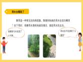 4.21 落到地面的雨水（课件）-2024-2025学年五年级上册科学粤教粤科版