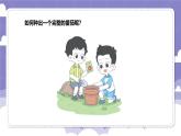 1.1 种番茄（课件）-2024-2025学年四年级上册科学粤教粤科版