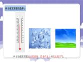 1.1 种番茄（课件）-2024-2025学年四年级上册科学粤教粤科版