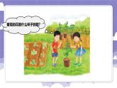 1.2 开花和结果（课件）-2024-2025学年四年级上册科学粤教粤科版