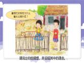 1.4 专题探究：可以不用种子繁殖吗（课件）-2024-2025学年四年级上册科学粤教粤科版