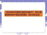 1.4 专题探究：可以不用种子繁殖吗（课件）-2024-2025学年四年级上册科学粤教粤科版