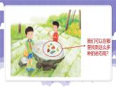2.8 各种各样的岩石（课件）-2024-2025学年四年级上册科学粤教粤科版