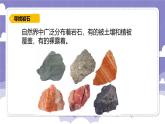 2.8 各种各样的岩石（课件）-2024-2025学年四年级上册科学粤教粤科版
