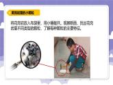 2.10 岩石与矿物（课件）-2024-2025学年四年级上册科学粤教粤科版