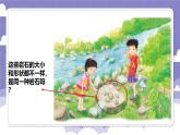 第二单元 探究技能 分类（课件）-2024-2025学年四年级上册科学粤教粤科版