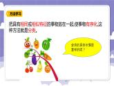 第二单元 探究技能 分类（课件）-2024-2025学年四年级上册科学粤教粤科版