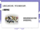 第二单元 探究技能 分类（课件）-2024-2025学年四年级上册科学粤教粤科版