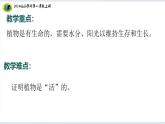 【2024新教材】教科版科学一年级上册第一单元周围的植物1.7单元小结周围的植物课件