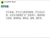【2024新教材】教科版科学一年级上册第一单元周围的植物1.7单元小结周围的植物课件