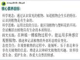 【2024新教材】教科版科学一年级上册第一单元周围的植物1.1我们知道的植物课件