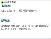 【2024新教材】教科版科学一年级上册第一单元周围的植物1.1我们知道的植物课件