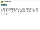 【2024新教材】教科版科学一年级上册第一单元周围的植物1.1我们知道的植物课件