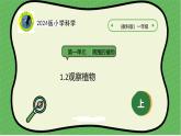 【2024新教材】教科版科学一年级上册第一单元周围的植物1.2观察植物 课件