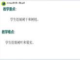 【2024新教材】教科版科学一年级上册第一单元周围的植物1.2观察植物 课件