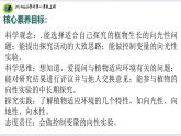 【2024新教材】教科版科学一年级上册第一单元周围的植物1.3植物长在哪里 课件