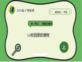 【2024新教材】教科版科学一年级上册第一单元周围的植物1.6校园里的植物课件