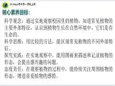 【2024新教材】教科版科学一年级上册第一单元周围的植物1.6校园里的植物课件