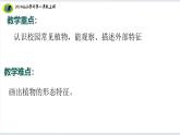 【2024新教材】教科版科学一年级上册第一单元周围的植物1.6校园里的植物课件
