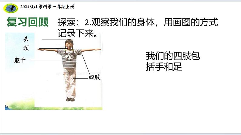 2核心素养目标【2024新教材】教科版科学一年级上册第二单元我们自己2.2发现生长课件08