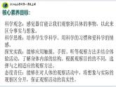 5核心素养目标【2024新教材】教科版科学一年级上册第二单元我们自己2.5通过感官来发现课件
