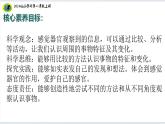 6核心素养目标【2024新教材】教科版科学一年级上册第二单元我们自己2.6观察与比较课件