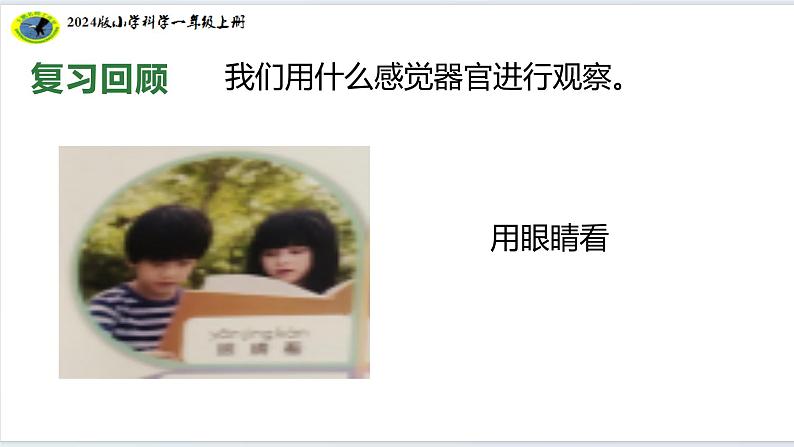 6核心素养目标【2024新教材】教科版科学一年级上册第二单元我们自己2.6观察与比较课件07