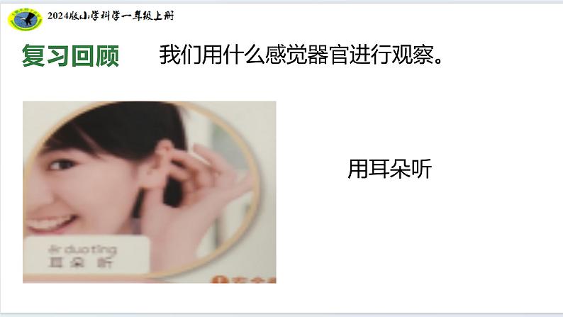 6核心素养目标【2024新教材】教科版科学一年级上册第二单元我们自己2.6观察与比较课件08