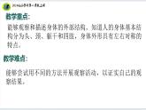 8核心素养目标【2024新教材】教科版科学一年级上册第二单元我们自己2.8单元小结我们自己课件