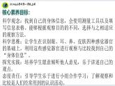 7核心素养目标【2024新教材】教科版科学一年级上册第二单元我们自己2.7做个时间胶囊课件