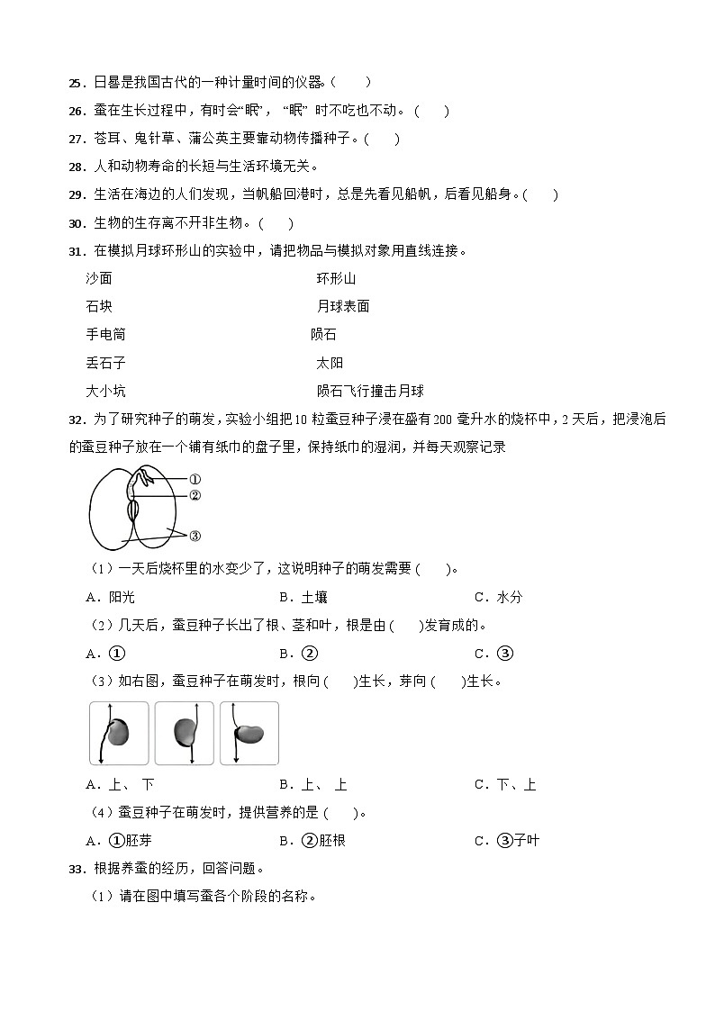 云南省昭通市镇雄县2023-2024学年四年级下学期期末科学试卷03